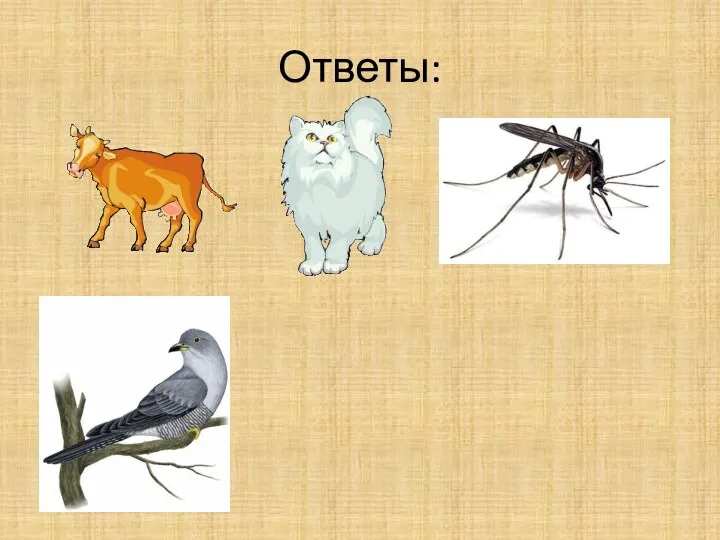 Ответы: