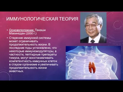 ИММУНОЛОГИЧЕСКАЯ ТЕОРИЯ Основоположник: Такаши Макинодан (2000 г.) Старение иммунной системы
