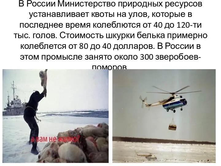 В России Министерство природных ресурсов устанавливает квоты на улов, которые