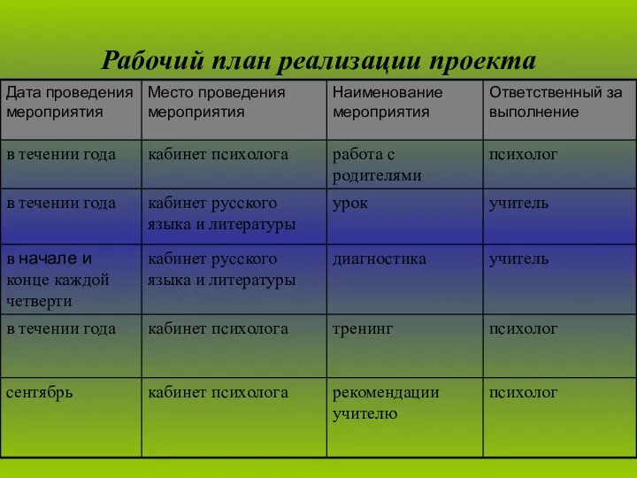 Рабочий план реализации проекта