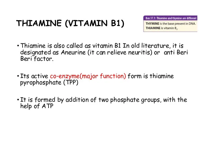 THIAMINE (VITAMIN B1) Thiamine is also called as vitamin B1
