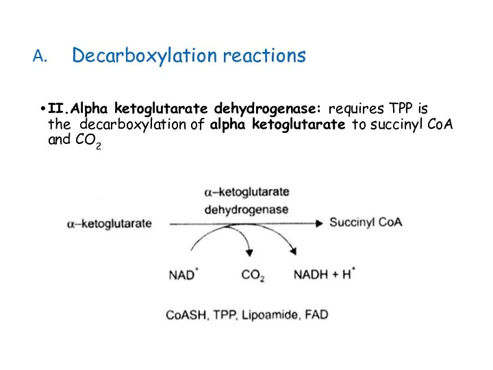 Decarboxylation reactions II.Alpha ketoglutarate dehydrogenase: requires TPP is the decarboxylation