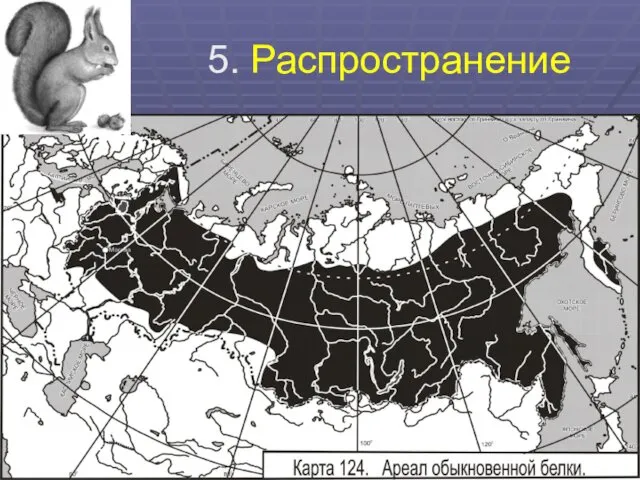 5. Распространение