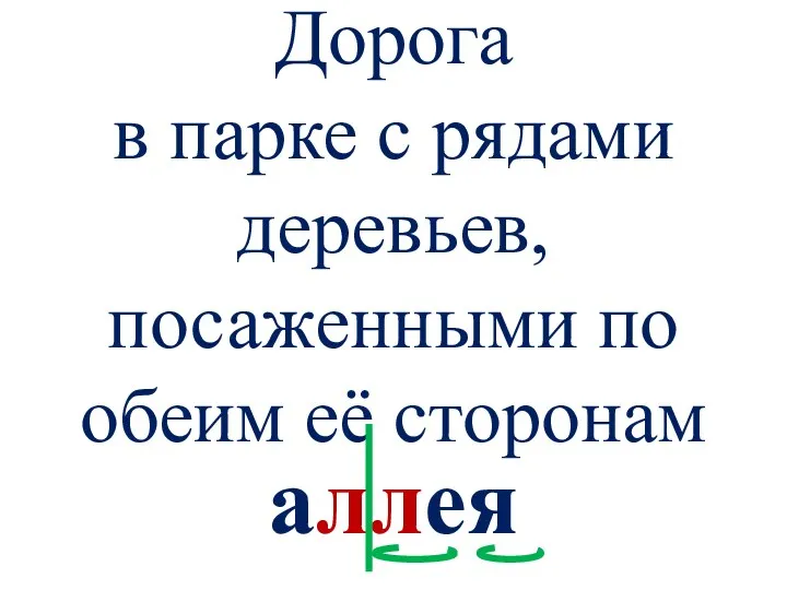 Дорога в парке с рядами деревьев, посаженными по обеим её сторонам аллея