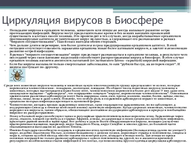 Циркуляция вирусов в Биосфере Попадание вирусов в организм человека, животного