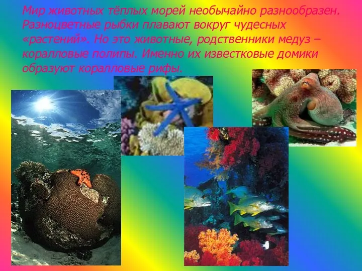 Мир животных тёплых морей необычайно разнообразен. Разноцветные рыбки плавают вокруг чудесных «растений». Но