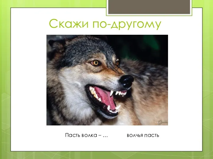 Скажи по-другому Пасть волка – … волчья пасть