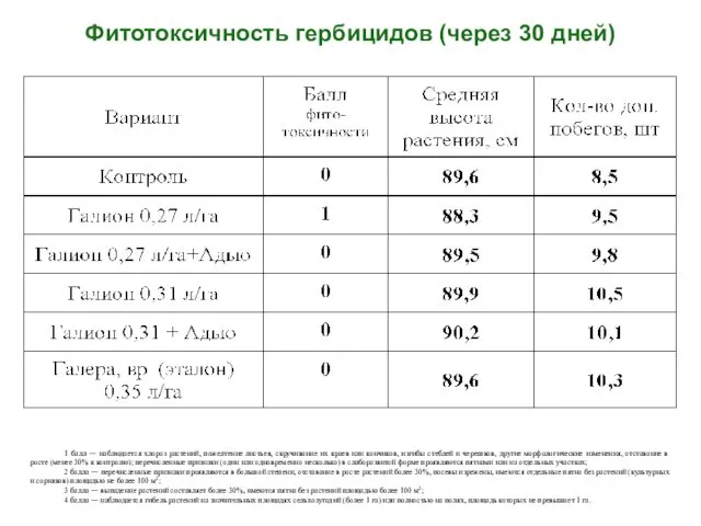 Фитотоксичность гербицидов (через 30 дней) 1 балл — наблюдается хлороз