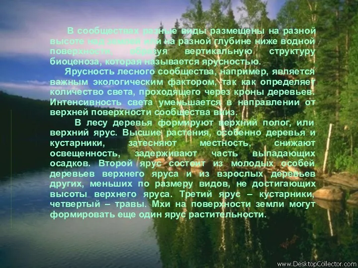 В сообществах разные виды размещены на разной высоте над землей или на разной