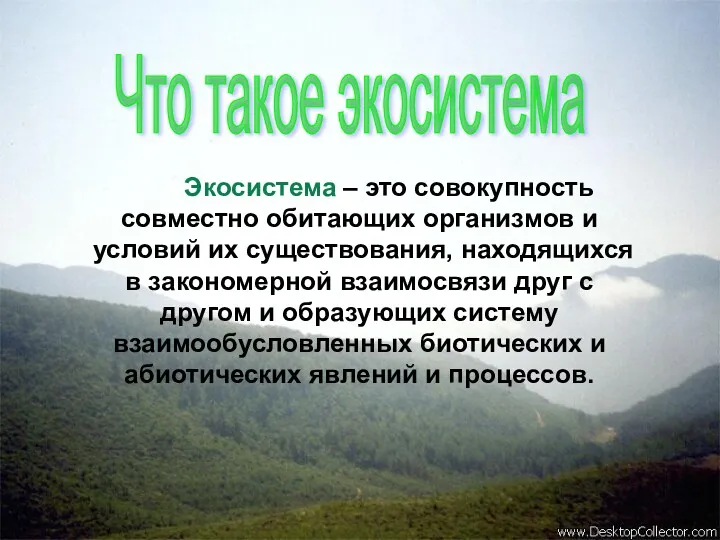 Экосистема – это совокупность совместно обитающих организмов и условий их