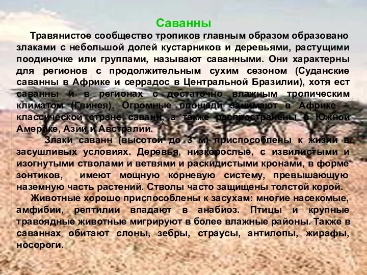 Саванны Травянистое сообщество тропиков главным образом образовано злаками с небольшой долей кустарников и