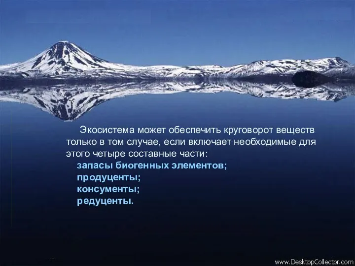 Экосистема может обеспечить круговорот веществ только в том случае, если включает необходимые для