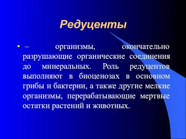 Редуценты – организмы, окончательно разрушающие органические соединения до минеральных. Роль