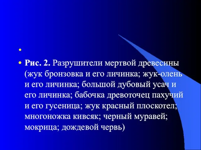 Рис. 2. Разрушители мертвой древесины (жук бронзовка и его личинка;