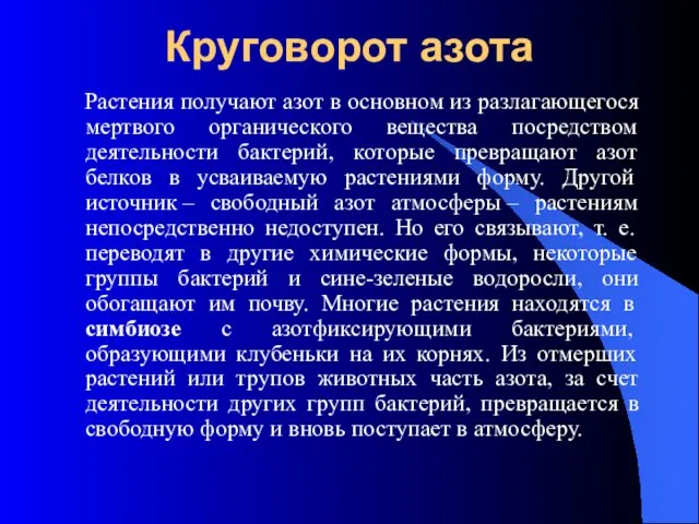 Круговорот азота Растения получают азот в основном из разлагающегося мертвого