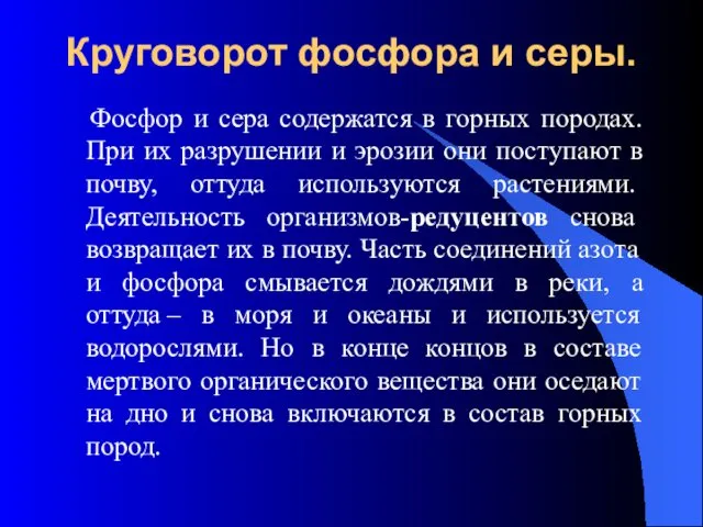 Круговорот фосфора и серы. Фосфор и сера содержатся в горных