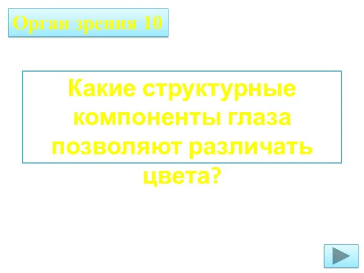 Орган зрения 10 Какие структурные компоненты глаза позволяют различать цвета?