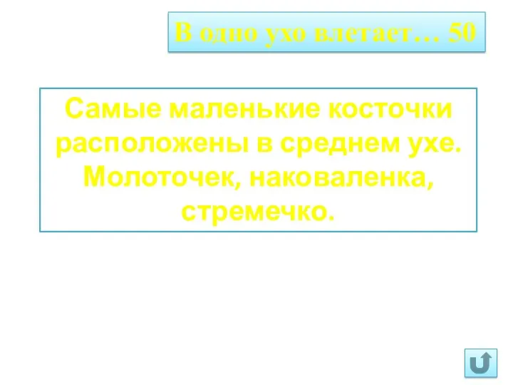 В одно ухо влетает… 50 Самые маленькие косточки расположены в среднем ухе. Молоточек, наковаленка, стремечко.