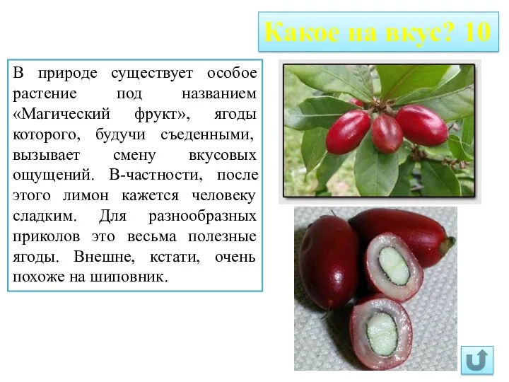 Какое на вкус? 10 В природе существует особое растение под названием «Магический фрукт»,