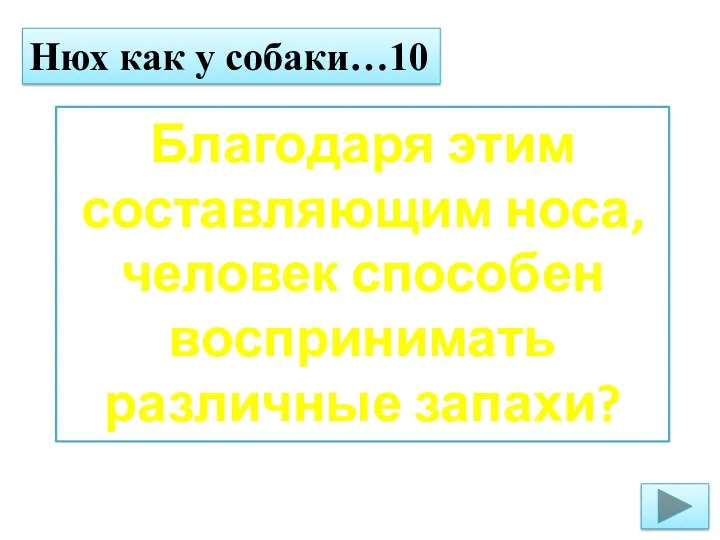 Нюх как у собаки…10 Благодаря этим составляющим носа, человек способен воспринимать различные запахи?