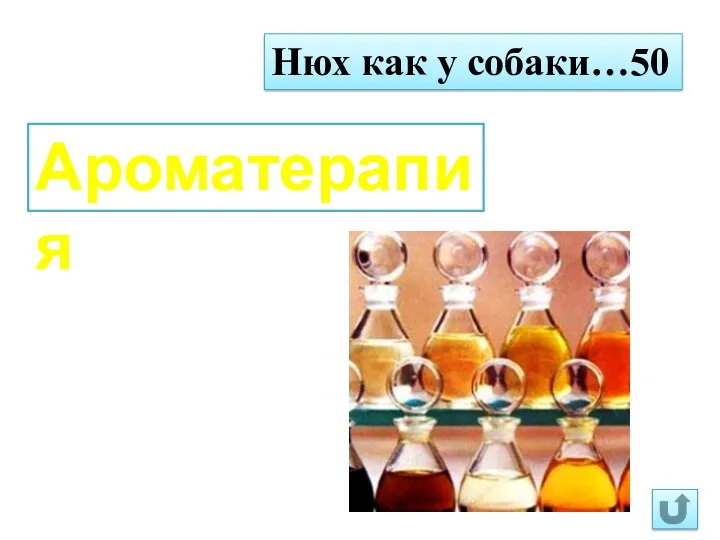 Нюх как у собаки…50 Ароматерапия