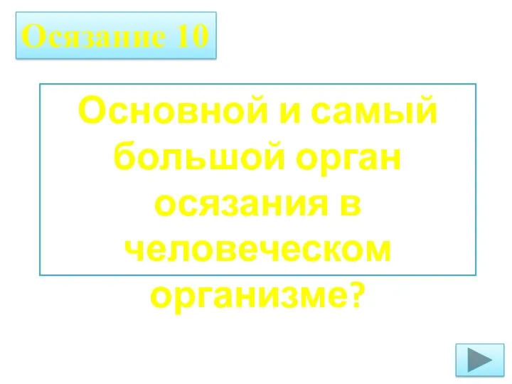 Осязание 10 Основной и самый большой орган осязания в человеческом организме?