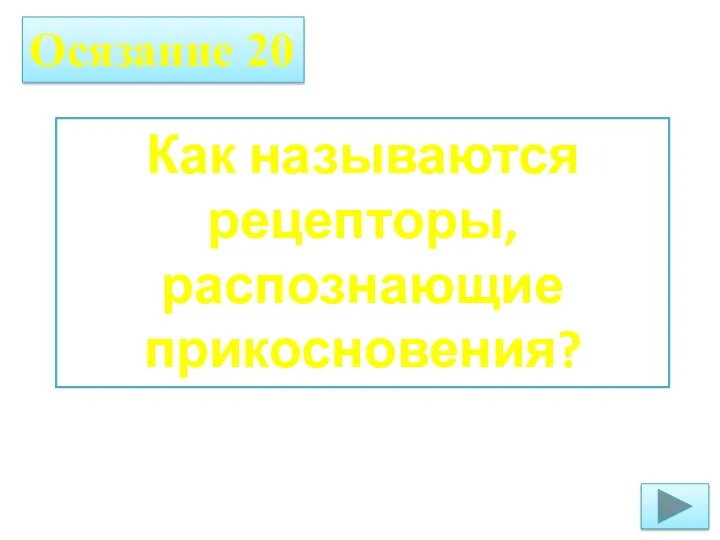 Осязание 20 Как называются рецепторы, распознающие прикосновения?