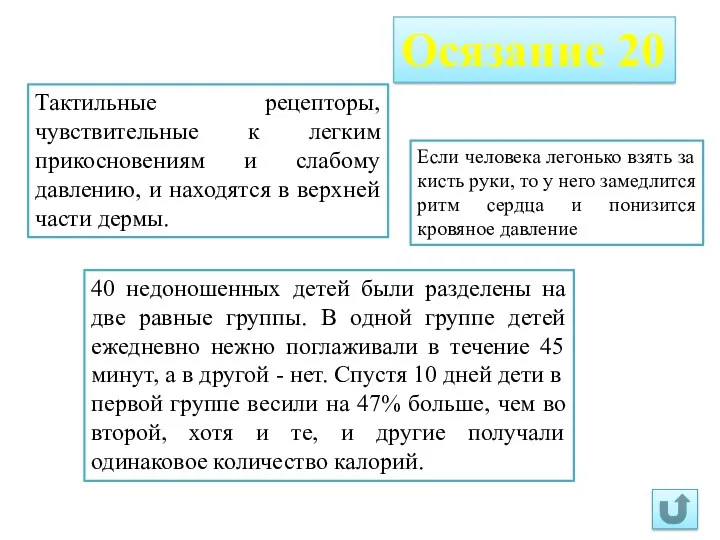 Осязание 20 Тактильные рецепторы, чувствительные к легким прикосновениям и слабому давлению, и находятся