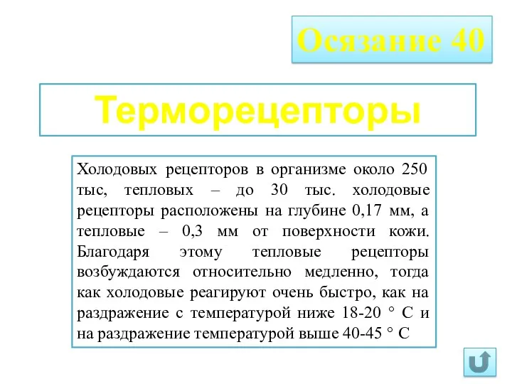 Осязание 40 Терморецепторы Холодовых рецепторов в организме около 250 тыс, тепловых – до