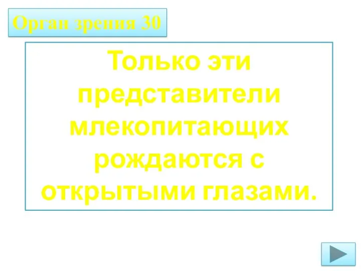 Только эти представители млекопитающих рождаются с открытыми глазами. Орган зрения 30