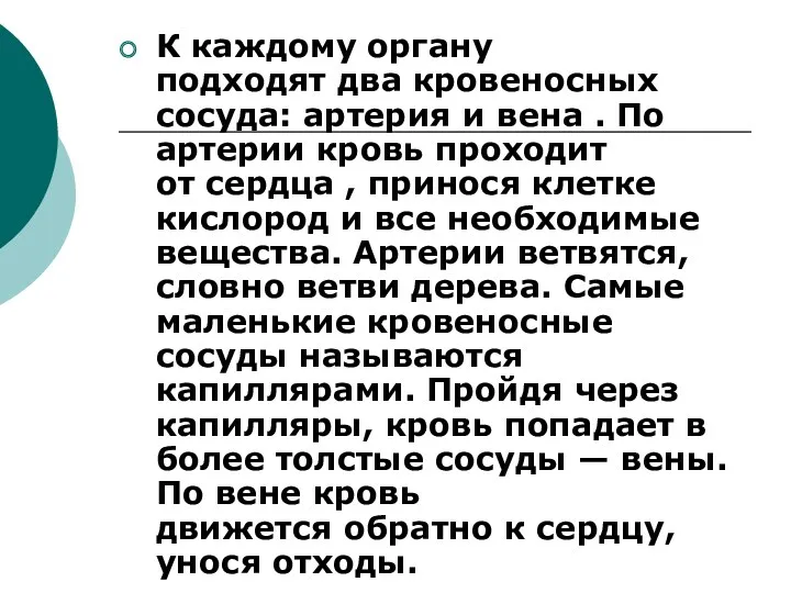 К каждому органу подходят два кровеносных сосуда: артерия и вена