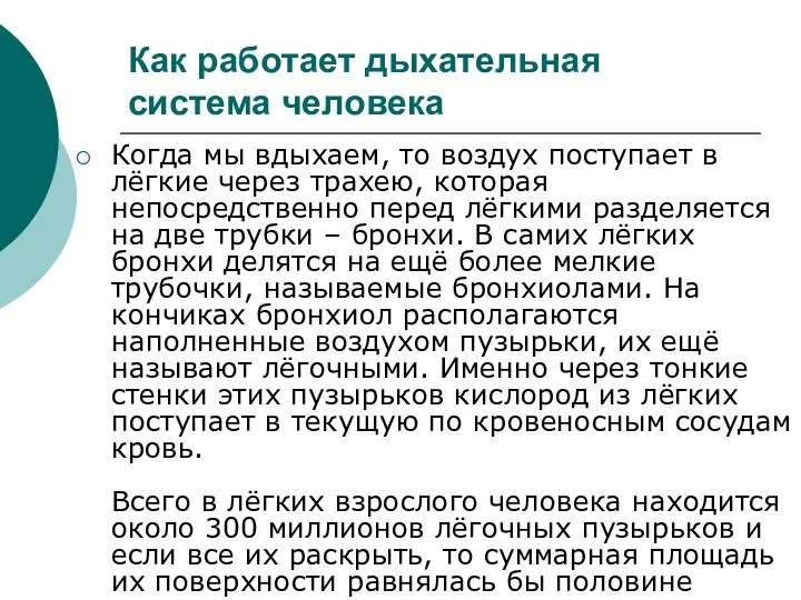 Как работает дыхательная система человека Когда мы вдыхаем, то воздух