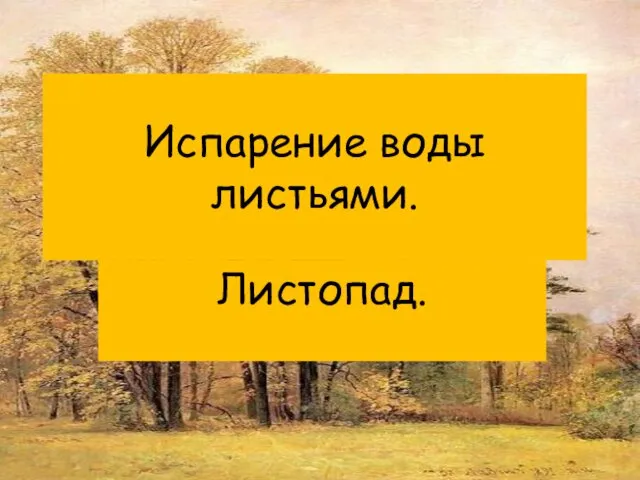 Испарение воды листьями. Листопад.