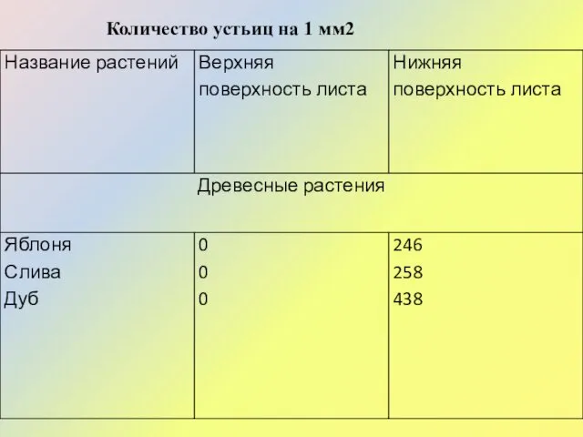 Количество устьиц на 1 мм2