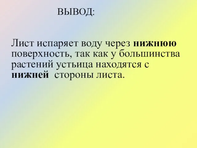 ВЫВОД: Лист испаряет воду через нижнюю поверхность, так как у