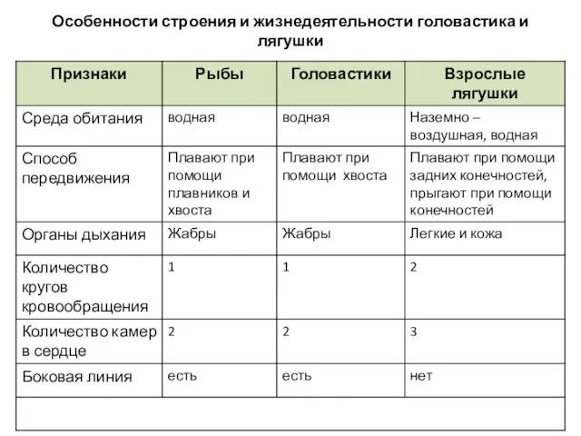 Особенности строения и жизнедеятельности головастика и лягушки