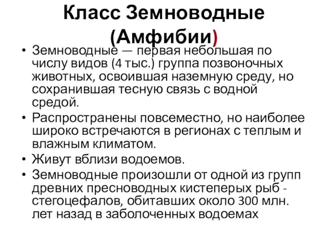 Класс Земноводные (Амфибии) Земноводные — первая небольшая по числу видов