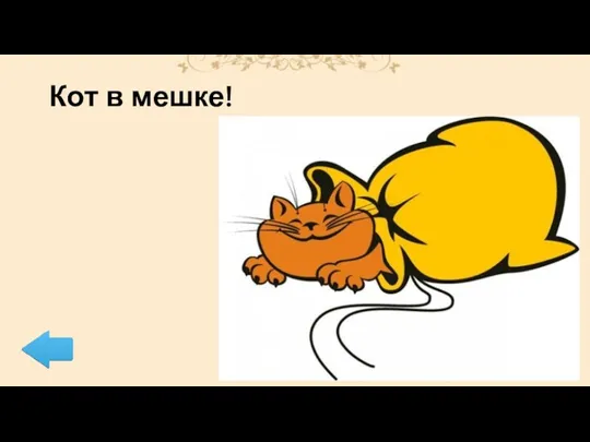 Кот в мешке!