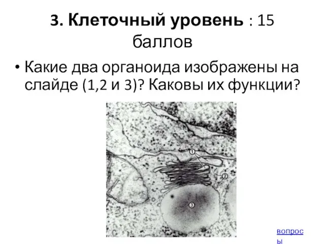 3. Клеточный уровень : 15 баллов Какие два органоида изображены