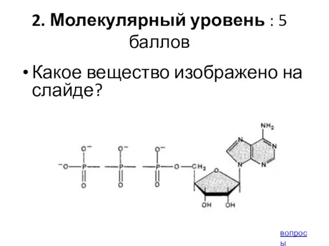 2. Молекулярный уровень : 5 баллов Какое вещество изображено на слайде? вопросы