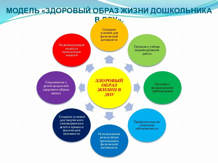 МОДЕЛЬ «ЗДОРОВЫЙ ОБРАЗ ЖИЗНИ ДОШКОЛЬНИКА В ДОУ».