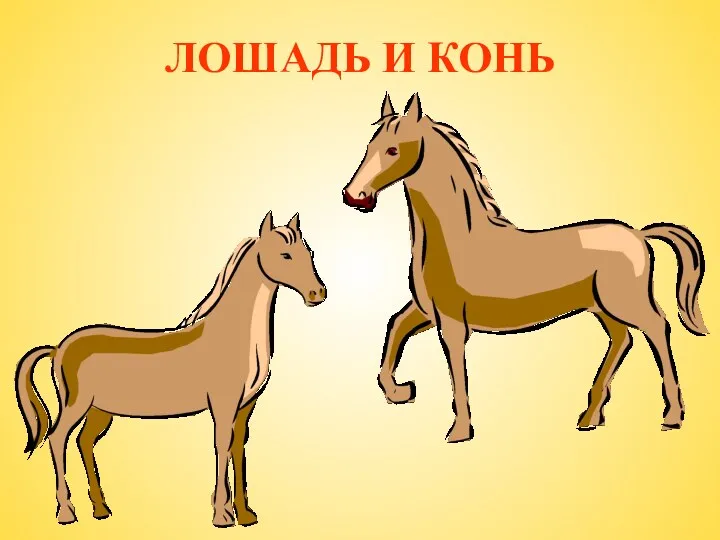 ЛОШАДЬ И КОНЬ