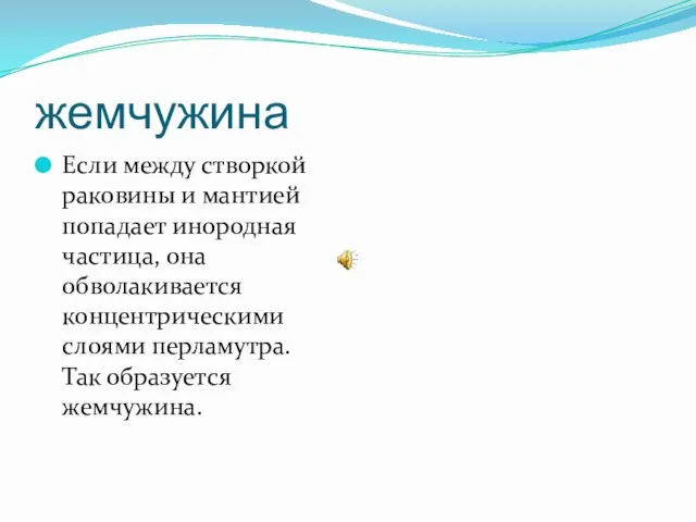 жемчужина Если между створкой раковины и мантией попадает инородная частица,