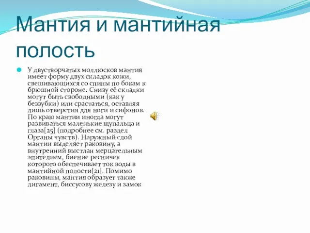 Мантия и мантийная полость У двустворчатых моллюсков мантия имеет форму