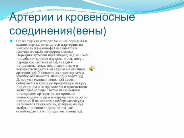 Артерии и кровеносные соединения(вены) От желудочка отходят мощные передняя и