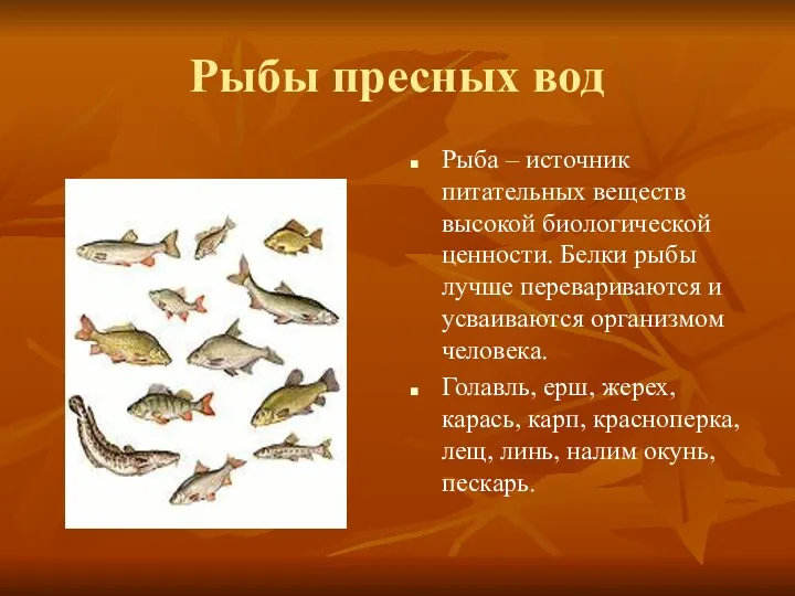 Рыбы пресных вод Рыба – источник питательных веществ высокой биологической