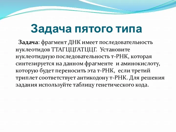 Задача пятого типа Задача: фрагмент ДНК имеет последовательность нуклеотидов ТТАГЦЦГАТЦЦГ.