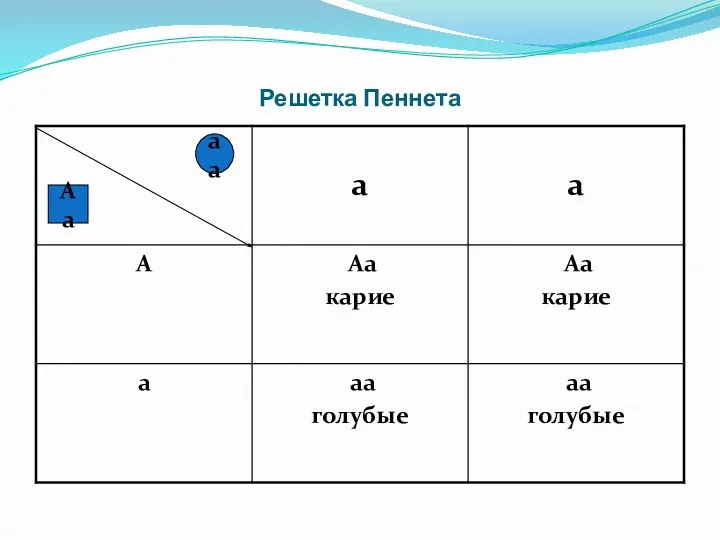 Решетка Пеннета аа Аа