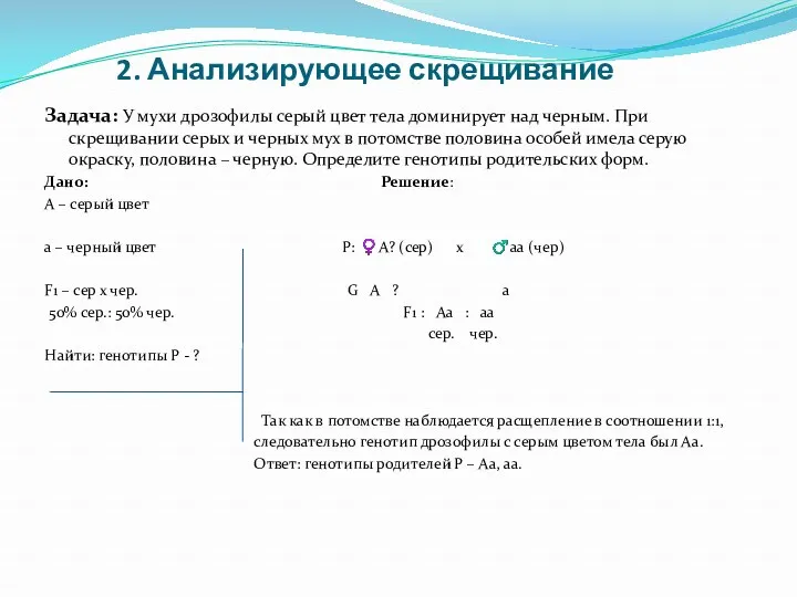 2. Анализирующее скрещивание Задача: У мухи дрозофилы серый цвет тела