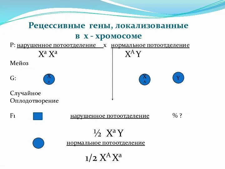 Рецессивные гены, локализованные в х - хромосоме P: нарушенное потоотделение